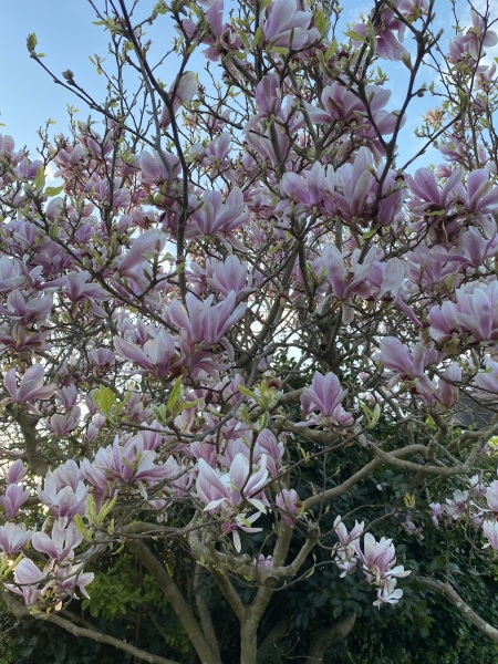 Thread 12 - TalkLair: “I say we take off and nuke the entire site from orbit. It's the only way to be sure.”