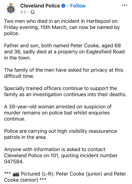 Woman arrested after two men found dead