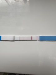 Pregnancy test