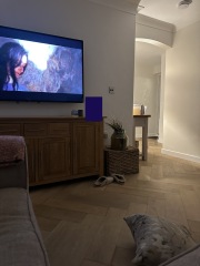 Why has my diy painting ruined my walls?