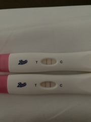 Ovulation test help