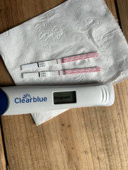 Clear blue evap line