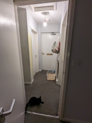 Pale yellow walls, what colour flooring?