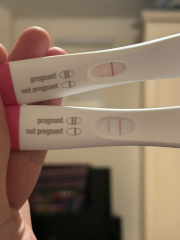 Clear blue evap line