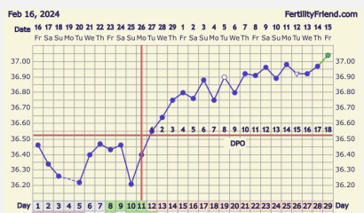 Baby due Nov 2024