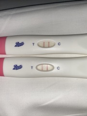 Ovulation test help