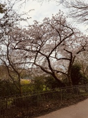 Thread 12 - TalkLair: “I say we take off and nuke the entire site from orbit. It's the only way to be sure.”