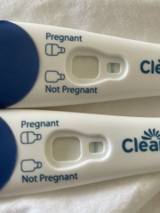 Potentially pregnant