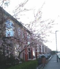 Thread 12 - TalkLair: “I say we take off and nuke the entire site from orbit. It's the only way to be sure.”