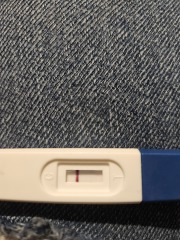 Preg test & symptoms.