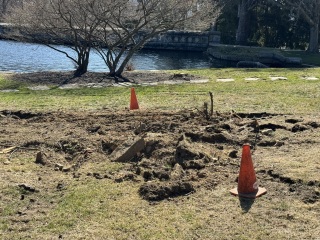 Come and tell me your dull and unexciting news 29: Calmly through the day