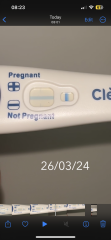 Preg text positive or evaporated