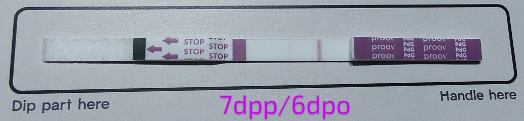 2024 TTC 35+ Part 2