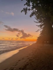 Feb '24 Low Carb Bootcamp - week 7, the penultimate week