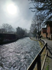 Come chat hiking with me!