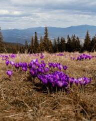 Ukraine Invasion: Part 48