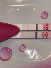 BFP or bad Evap? Wondfo tests 12dpo