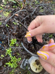 Was it the gardeners? Help me solve this mystery please