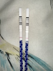 Pregnant or Not? Body feels off.