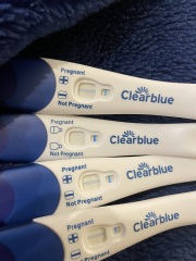 Potentially pregnant