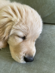 Stage 4 cancer... ? incurable? Thread #2 is here.  In memory of our inspiring, lovely mowly77