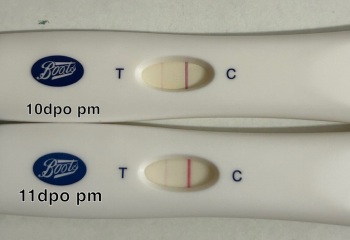 Wondfo line progression? No progression