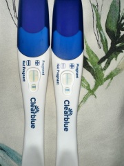 Pregnant or Not? Body feels off.