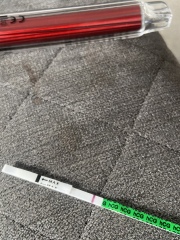 11 dpo bfp followed by BFN