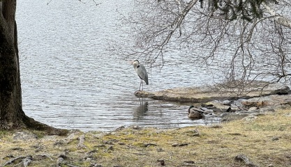 Come and tell me your dull and unexciting news 29: Calmly through the day