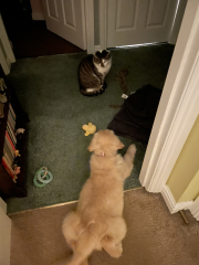 Stage 4 cancer... ? incurable? Thread #2 is here.  In memory of our inspiring, lovely mowly77