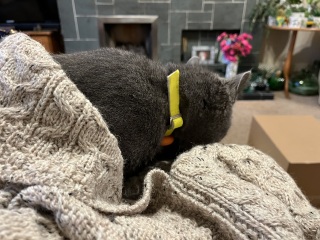 Finlay update - week 2 hydrotherapy