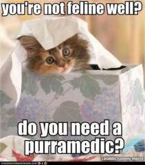 Mumsnetter @rafaisthekingofclay is in hospital NEEDS MEMES (edited by MNHQ at request of OP)