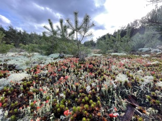 Come chat hiking with me!