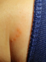 Any ideas what this is?