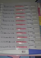 One step tests - progression lines