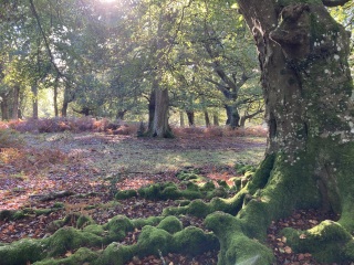 Any Witches here? Part 20