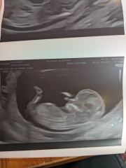 Due September 4.5 🐣♥️🧡💜