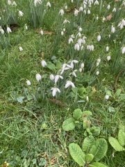 Any Witches here? Part 20