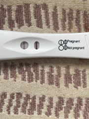17dpo pregnancy tests