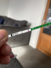 11 dpo bfp followed by BFN