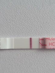 Pregnancy lines