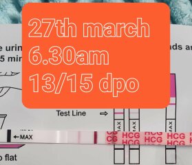 Dec-Christmas Babys 2024