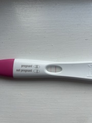 Dec-Christmas Babys 2024