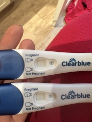 Clear blue test. Evap line or positive