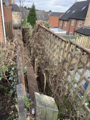 To think you can’t just cut someone’s bushes down?