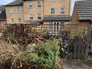 To think you can’t just cut someone’s bushes down?