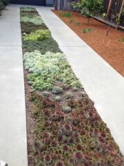 New driveway advice please - has to be permeable