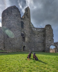 Puppy Survival Thread for New and Old Pups - Spring is around the corner!