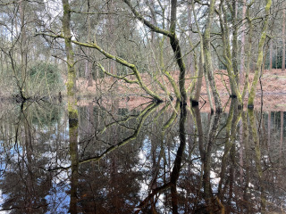 Come chat hiking with me!