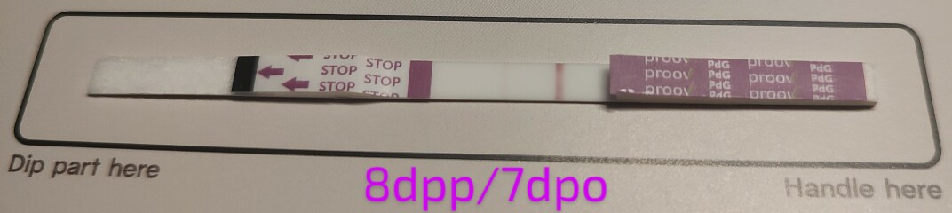 2024 TTC 35+ Part 2
